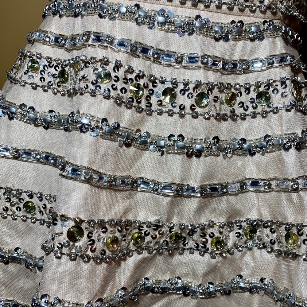 Terani Mini Dress - Picture 4 of 8